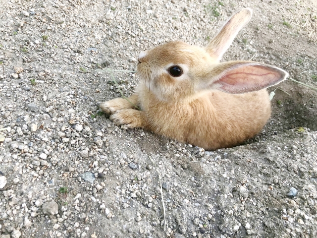 今いるドラマから出る